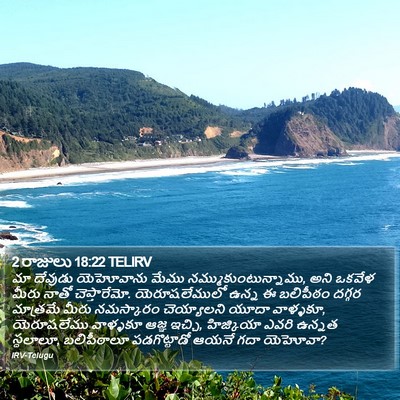 2 రాజులు 18:22 TELIRV Bible Verse Image