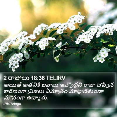 2 రాజులు 18:36 TELIRV Bible Verse Image