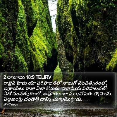 2 రాజులు 18:9 TELIRV Bible Verse Image