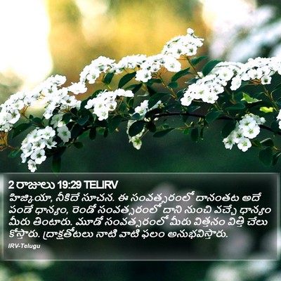 2 రాజులు 19:29 TELIRV Bible Verse Image