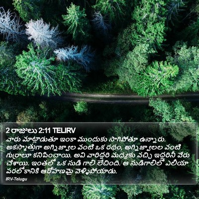 2 రాజులు 2:11 TELIRV Bible Verse Image