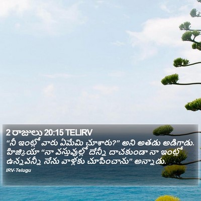 2 రాజులు 20:15 TELIRV Bible Verse Image