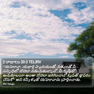 2 రాజులు 20:3 TELIRV Bible Verse Image