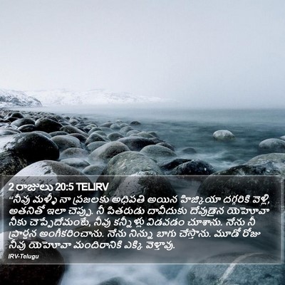 2 రాజులు 20:5 TELIRV Bible Verse Image