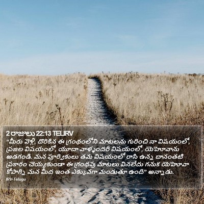 2 రాజులు 22:13 TELIRV Bible Verse Image