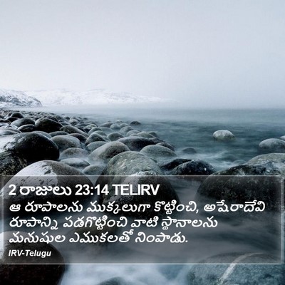 2 రాజులు 23:14 TELIRV Bible Verse Image