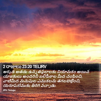 2 రాజులు 23:20 TELIRV Bible Verse Image