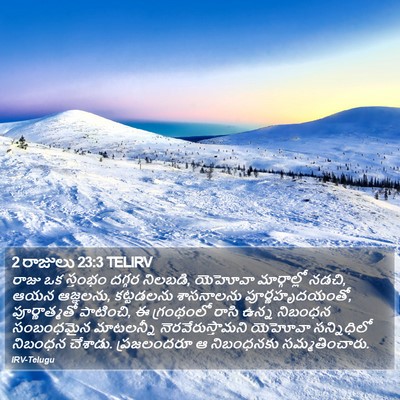 2 రాజులు 23:3 TELIRV Bible Verse Image
