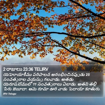 2 రాజులు 23:36 TELIRV Bible Verse Image
