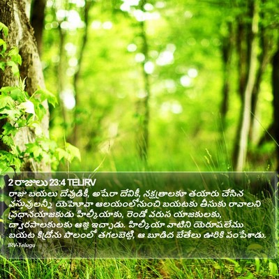 2 రాజులు 23:4 TELIRV Bible Verse Image