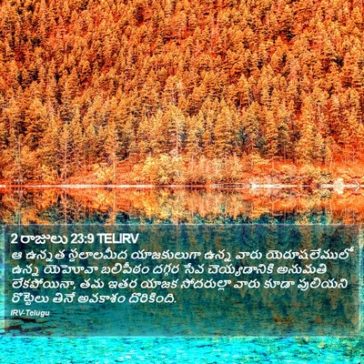 2 రాజులు 23:9 TELIRV Bible Verse Image