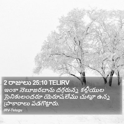 2 రాజులు 25:10 TELIRV Bible Verse Image