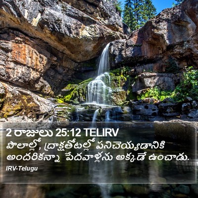 2 రాజులు 25:12 TELIRV Bible Verse Image