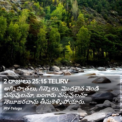 2 రాజులు 25:15 TELIRV Bible Verse Image