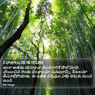 2 రాజులు 25:16 TELIRV Bible Verse Image
