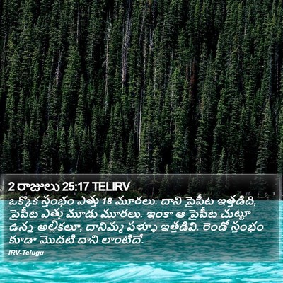 2 రాజులు 25:17 TELIRV Bible Verse Image