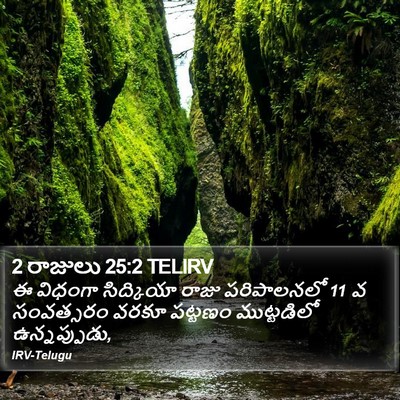 2 రాజులు 25:2 TELIRV Bible Verse Image