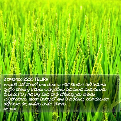 2 రాజులు 25:25 TELIRV Bible Verse Image