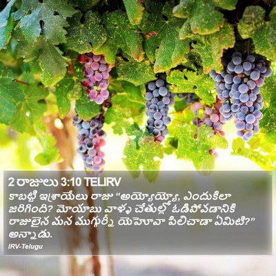 2 రాజులు 3:10 TELIRV Bible Verse Image