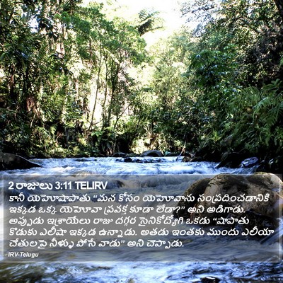 2 రాజులు 3:11 TELIRV Bible Verse Image