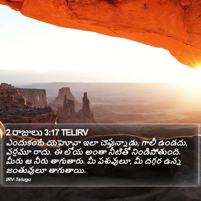 2 రాజులు 3:17 TELIRV Bible Verse Image