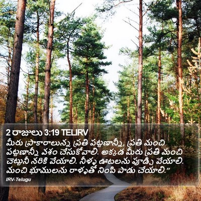 2 రాజులు 3:19 TELIRV Bible Verse Image