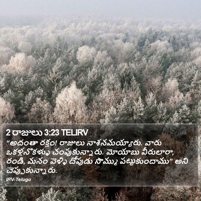2 రాజులు 3:23 TELIRV Bible Verse Image