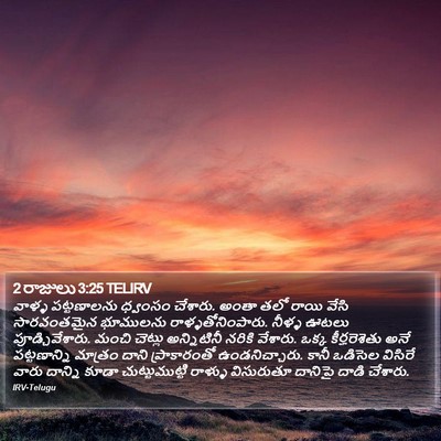 2 రాజులు 3:25 TELIRV Bible Verse Image