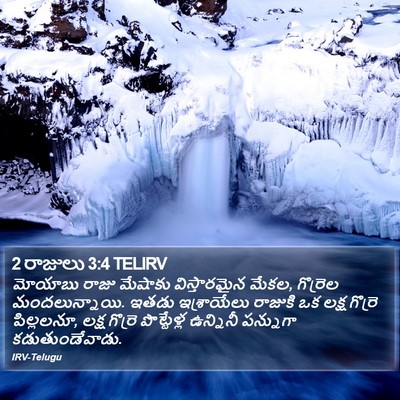 2 రాజులు 3:4 TELIRV Bible Verse Image