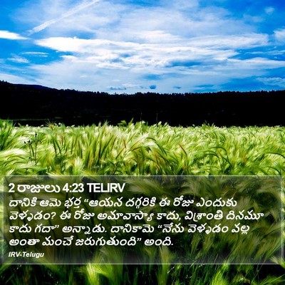 2 రాజులు 4:23 TELIRV Bible Verse Image