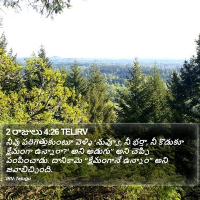 2 రాజులు 4:26 TELIRV Bible Verse Image