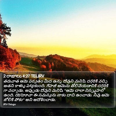 2 రాజులు 4:27 TELIRV Bible Verse Image