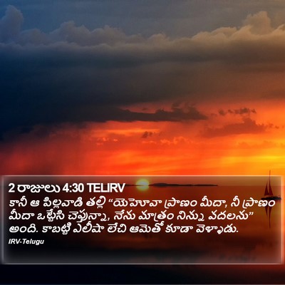 2 రాజులు 4:30 TELIRV Bible Verse Image