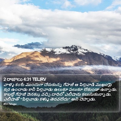 2 రాజులు 4:31 TELIRV Bible Verse Image