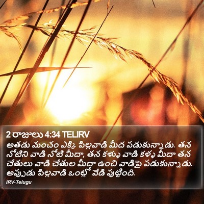 2 రాజులు 4:34 TELIRV Bible Verse Image