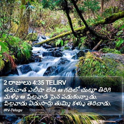 2 రాజులు 4:35 TELIRV Bible Verse Image