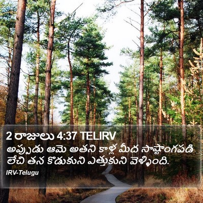 2 రాజులు 4:37 TELIRV Bible Verse Image