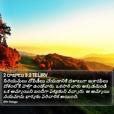 2 రాజులు 5:2 TELIRV Bible Verse Image