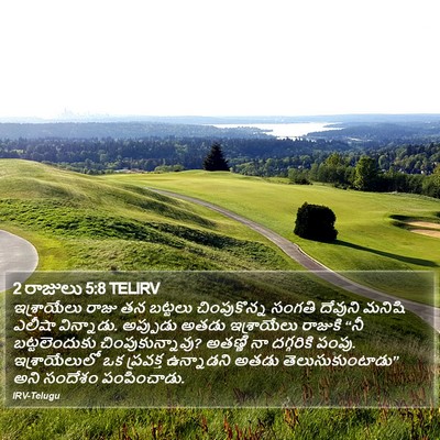 2 రాజులు 5:8 TELIRV Bible Verse Image