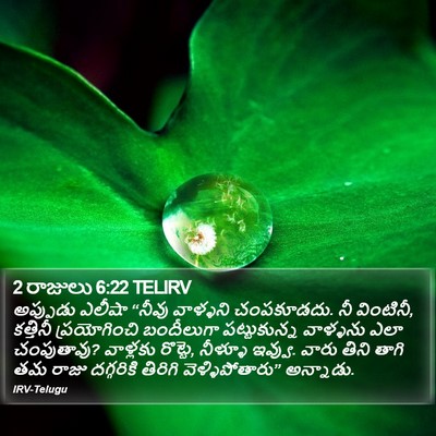 2 రాజులు 6:22 TELIRV Bible Verse Image