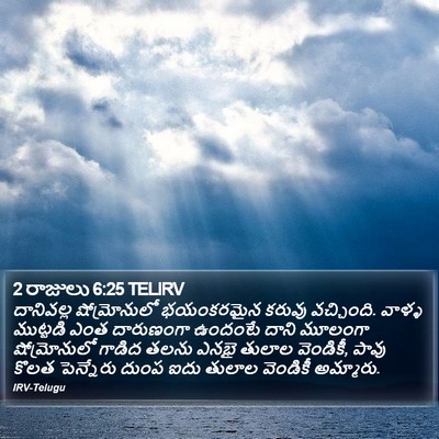 2 రాజులు 6:25 TELIRV Bible Verse Image