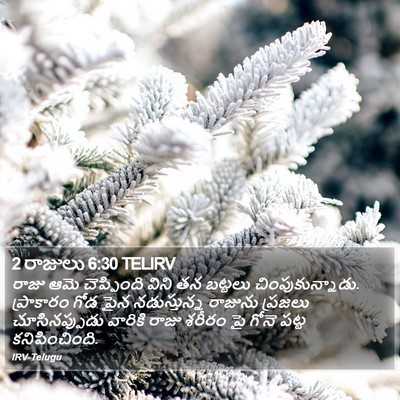 2 రాజులు 6:30 TELIRV Bible Verse Image