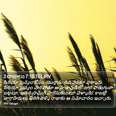 2 రాజులు 7:15 TELIRV Bible Verse Image