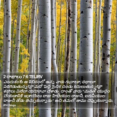2 రాజులు 7:6 TELIRV Bible Verse Image