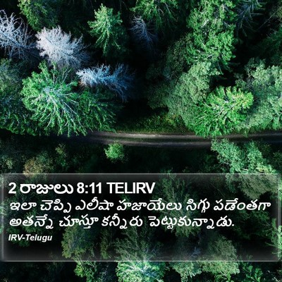 2 రాజులు 8:11 TELIRV Bible Verse Image