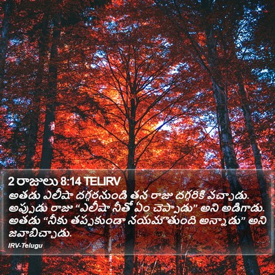 2 రాజులు 8:14 TELIRV Bible Verse Image