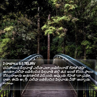 2 రాజులు 8:5 TELIRV Bible Verse Image