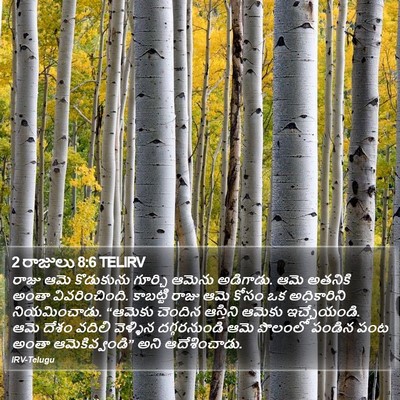 2 రాజులు 8:6 TELIRV Bible Verse Image
