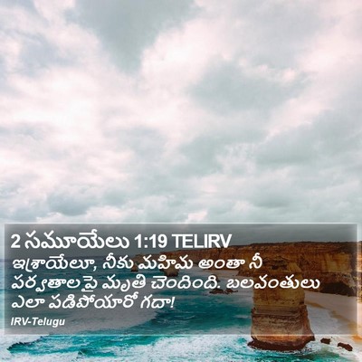 2 సమూయేలు 1:19 TELIRV Bible Verse Image