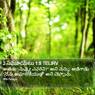 2 సమూయేలు 1:8 TELIRV Bible Verse Image